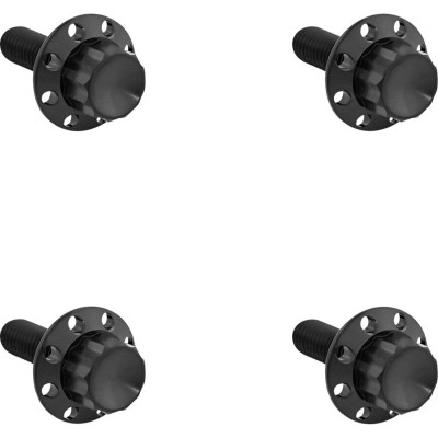 BOLTS KIT TITANIUM 12PT FRONT FENDER BLACK