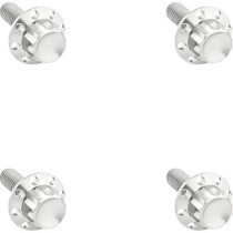 BOLT KIT TITANIUM 12PT  WINDSHIELD POLISH