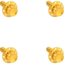 BOLT KIT TITANIUM 12PT  WINDSHIELD GOLD