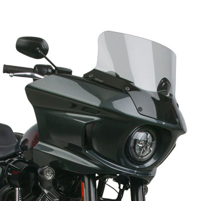 National Cycle, VStreamr replacement screen. Medium