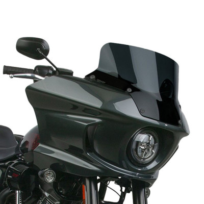 National Cycle, VStreamr replacement screen. Low