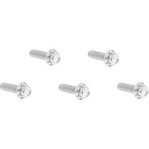 Bolt Kit - Derby Cover - 12-Point - Polished