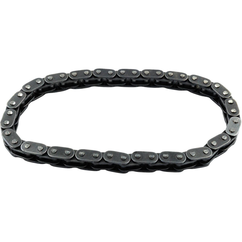 CHAIN PRIMARY CAM 2007-2025 BIG TWINS