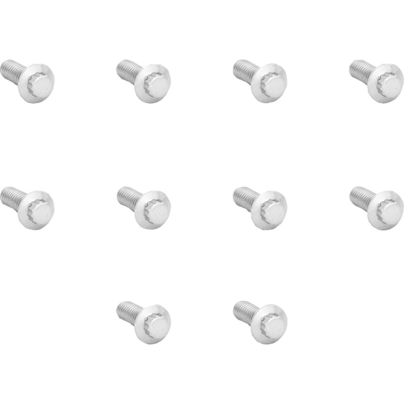 BOLTS ROTOR POLISHED STAINLESS 12-POINT