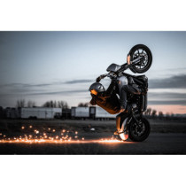 ROTOR REAR FL MNT CUBIQ