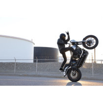 ROTOR REAR FL MNT CUBIQ