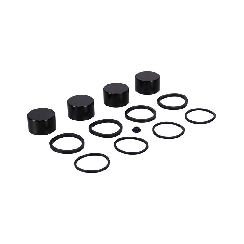 Caliper piston & seal kit