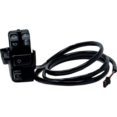 HOUSING CRUISE CONTROL KIT AND HARNESS SOFTAIL