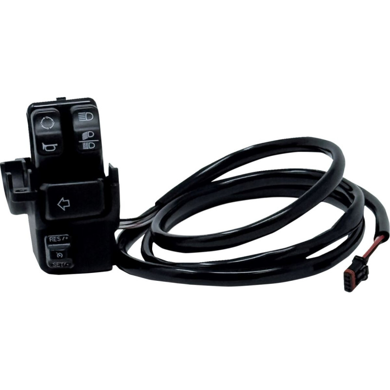 HOUSING CRUISE CONTROL KIT AND HARNESS SOFTAIL