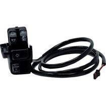 HOUSING CRUISE CONTROL KIT AND HARNESS SOFTAIL