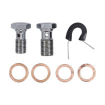 MCS by Goodridge brake line front, stainless clear coated