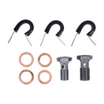 MCS by Goodridge brake line front, stainless clear coated