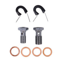 MCS by Goodridge brake line front, stainless clear coated