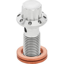 BOLT BANJO 3/8-24 POLISHED 12-PT F/R MC 00-07 TOURING
