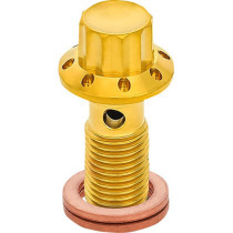 BOLT BANJO 3/8-24 GOLD 12-PT F/R MC 00-07 TOURING