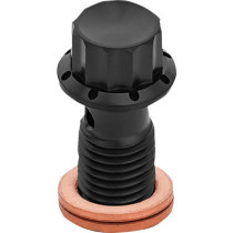 BOLT BANJO M12x1.25 BLACK 12-PT DUAL F/R MC SOFTAIL