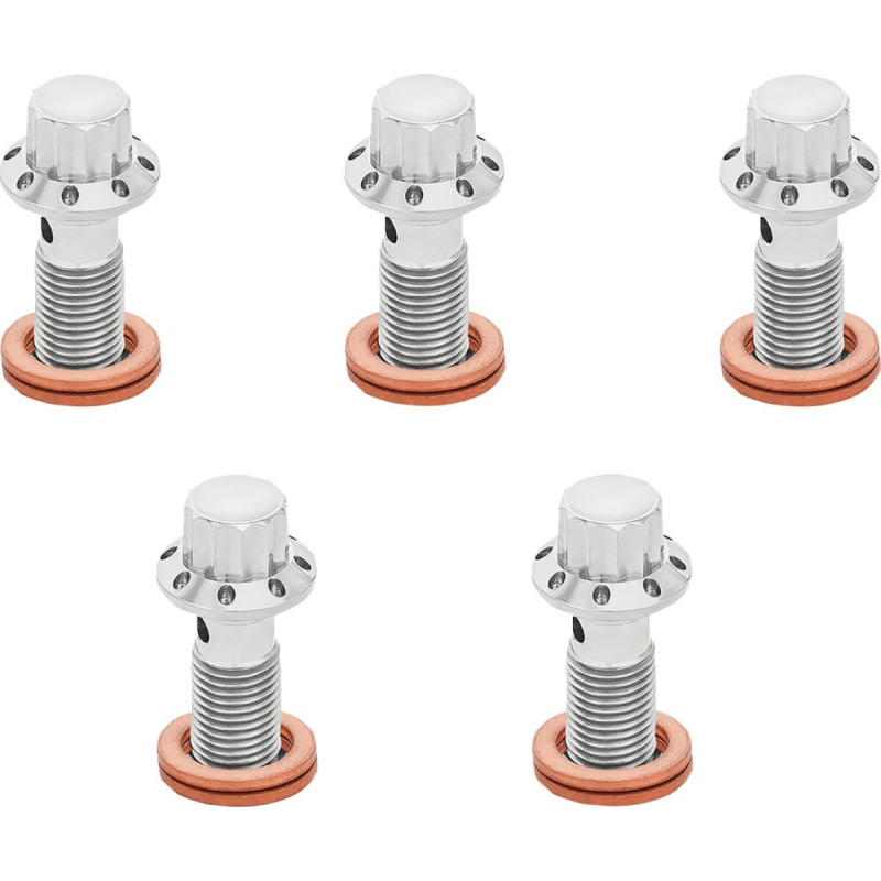 BOLT BANJO 5-PK 12 POINT 3/8-24 POLISHED F/R MC 00-07 TOUR