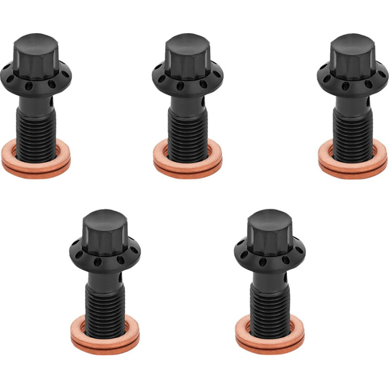 BOLT BANJO 5-PK 12 POINT 3/8-24 BLACK F/R MC 00-07 TOURING