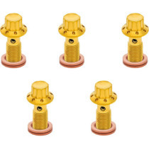 BOLT BANJO 5-PK 12 POINT 3/8-24 GOLD F/R MC 00-07 TOURING