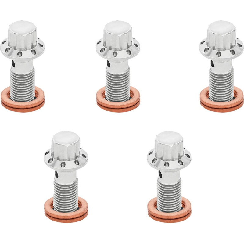BOLT BANJO 5-PK 12 POINT M10x1.0 POLISHED F/R MC TOURing