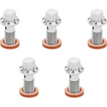 BOLT BANJO 5-PK 12 POINT M10x1.0 POLISHED F/R MC TOURing