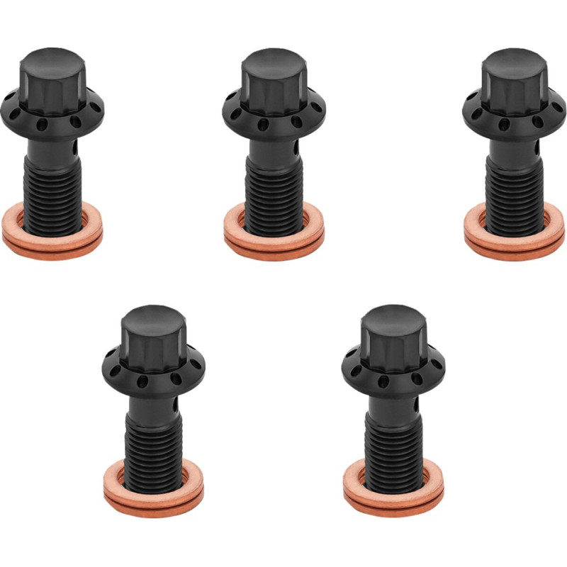 BOLT BANJO 5-PK 12 POINT M10x1.0 BLACK F/R MC TOURING