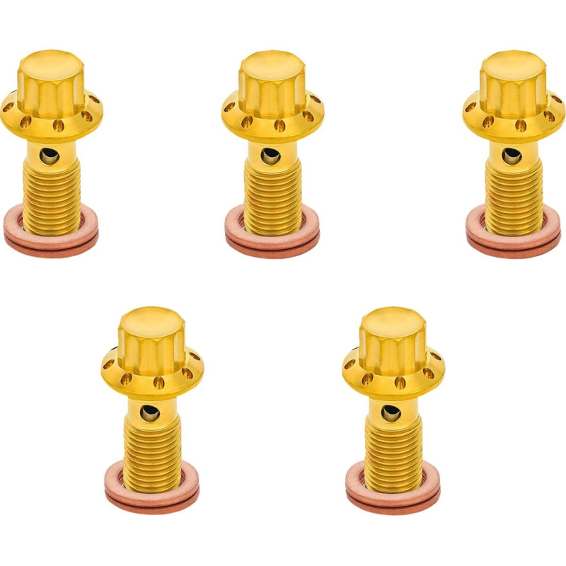 BOLT BANJO 5-PK 12 POINT M10x1.0 GOLD F/R MC TOURING