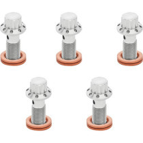 BOLT BANJO 5PK M10x1.25 POLISHED 12PT SINGLE F/R MC SOFTAIL