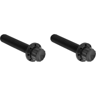 HARDWARE KIT TITANIUM 12-PNT M8/TC HYD CLUTCH BLACK