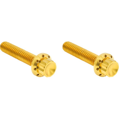 HARDWARE KIT TITANIUM 12-PNT M8/TC HYD CLUTCH GOLD