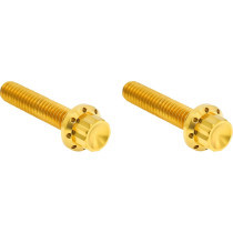 HARDWARE KIT TITANIUM 12-PNT M8/TC HYD CLUTCH GOLD