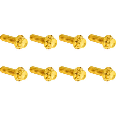 HARDWARE KIT TITANIUM 12-PNT M8/TC TRAP DOOR GOLD