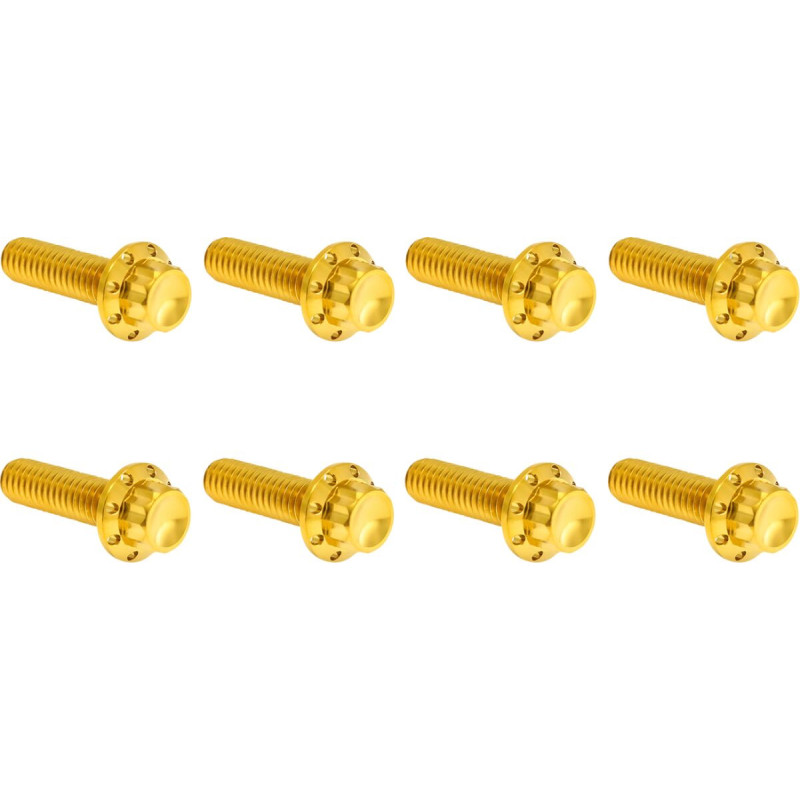 HARDWARE KIT TITANIUM 12-PNT M8/TC TRAP DOOR GOLD
