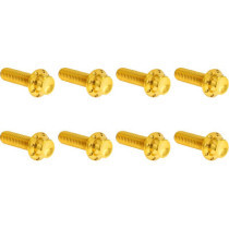 HARDWARE KIT TITANIUM 12-PNT M8/TC TRAP DOOR GOLD
