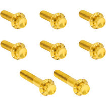 HARDWARE KIT TITANIUM 12-PNT TC 6-SPD TRAP DOOR GOLD
