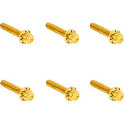 HARDWARE KIT TITANIUM 12-PNT M8G2 CLUTCH COVER GOLD