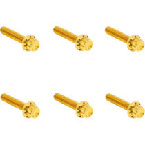 HARDWARE KIT TITANIUM 12-PNT M8G2 CLUTCH COVER GOLD