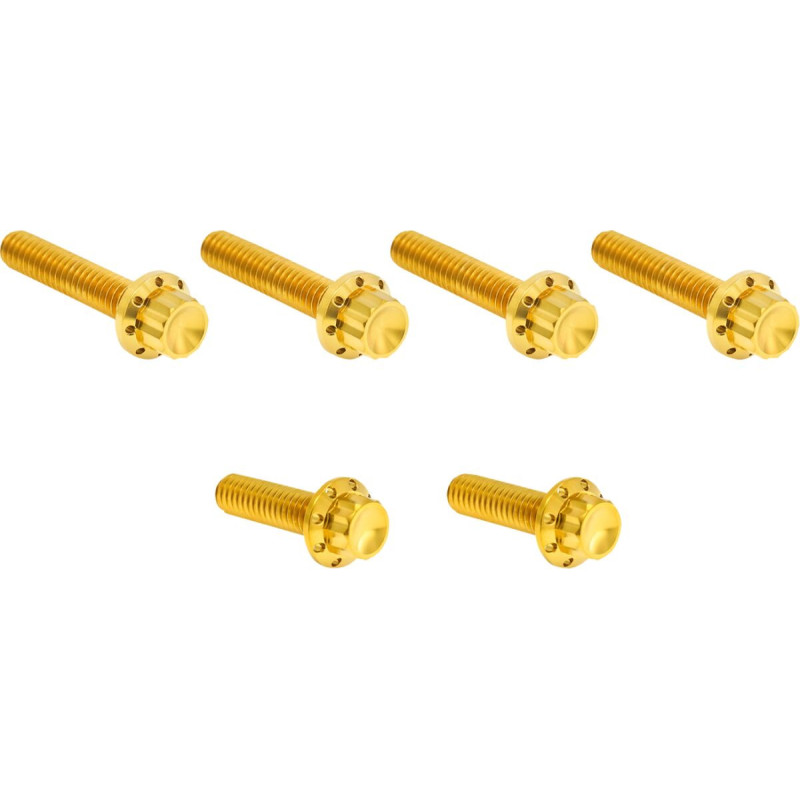 HARDWARE KIT TITANIUM 12-PNT M8/TC CBL CLUTCH GOLD