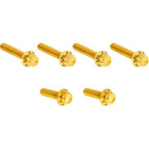 HARDWARE KIT TITANIUM 12-PNT M8/TC CBL CLUTCH GOLD
