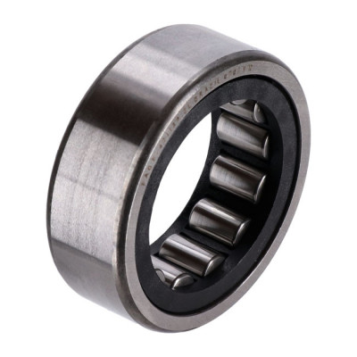 Bearing, M8 engine balancer