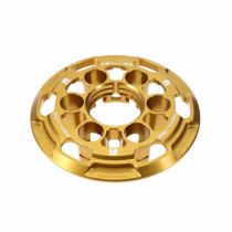 PRESSURE PLATE GOLD HD M8 '17-