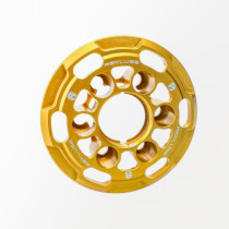 PRESSURE PLATE GOLD HD M8 '17-