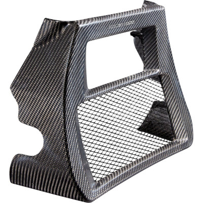 RADIATOR COVER - CARBON FIBER - 24+ FLT