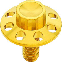 SEAT BOLT KIT TITANIUM - GOLD - 12-PT - 1/4"-20 THREAD