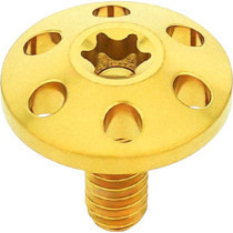 SEAT BOLT KIT TITANIUM - GLD - HOLESHOT TTM - 1/4-20 THREAD