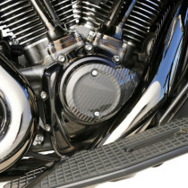 CAM COVER - CARBON FIBER - 23-26 GEN2 M8/25+26 SFTAIL/TRK