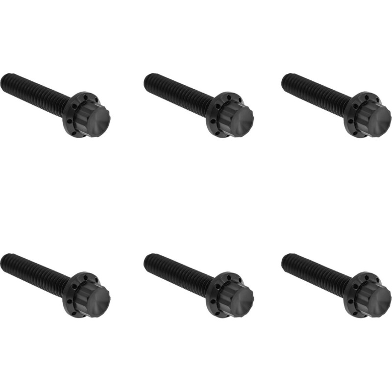 HARDWARE KIT TITANIUM 12-PNT M8G2 CLUTCH COVER BLK