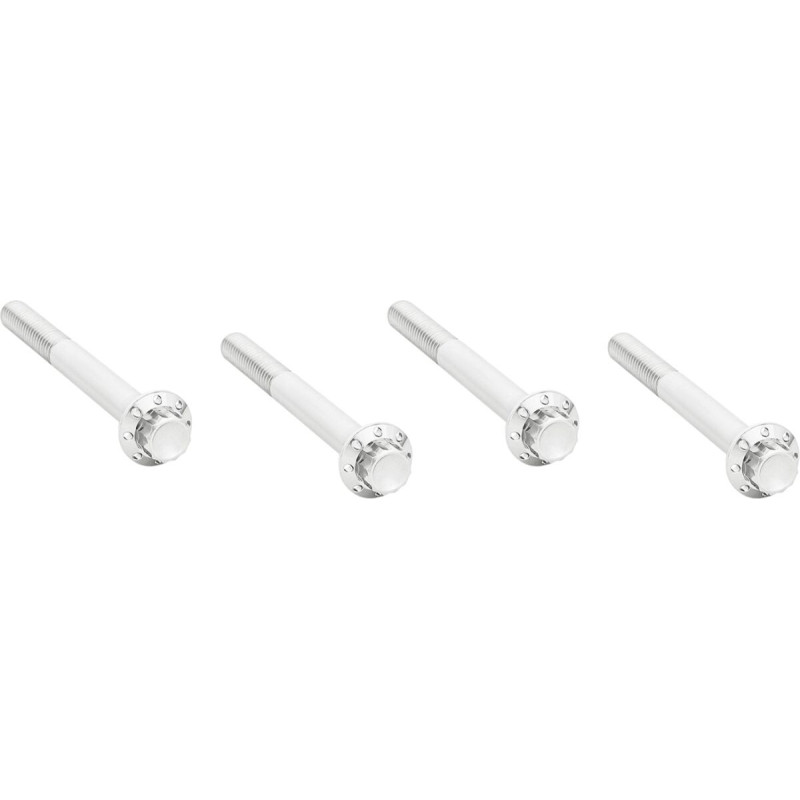 CRANKCASE BOLT KIT - 12PT POL - 17-26 FLT/18-26 SFTL/26 TRK