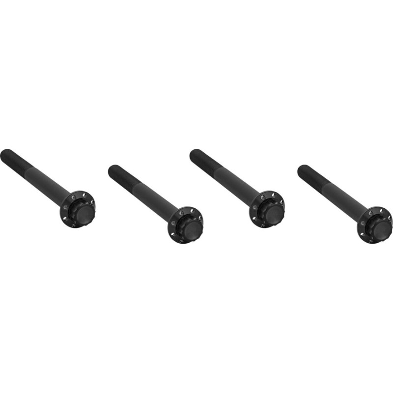 CRANKCASE BOLT KIT - 12PT BLK - 17-26 FLT/18-26 SFTL/26 TRK