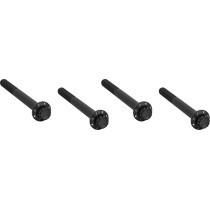 CRANKCASE BOLT KIT - 12PT BLK - 17-26 FLT/18-26 SFTL/26 TRK